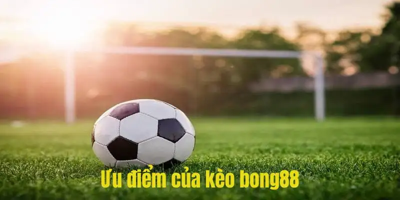 Ưu điểm vượt trội mà kèo bong88 sở hữu